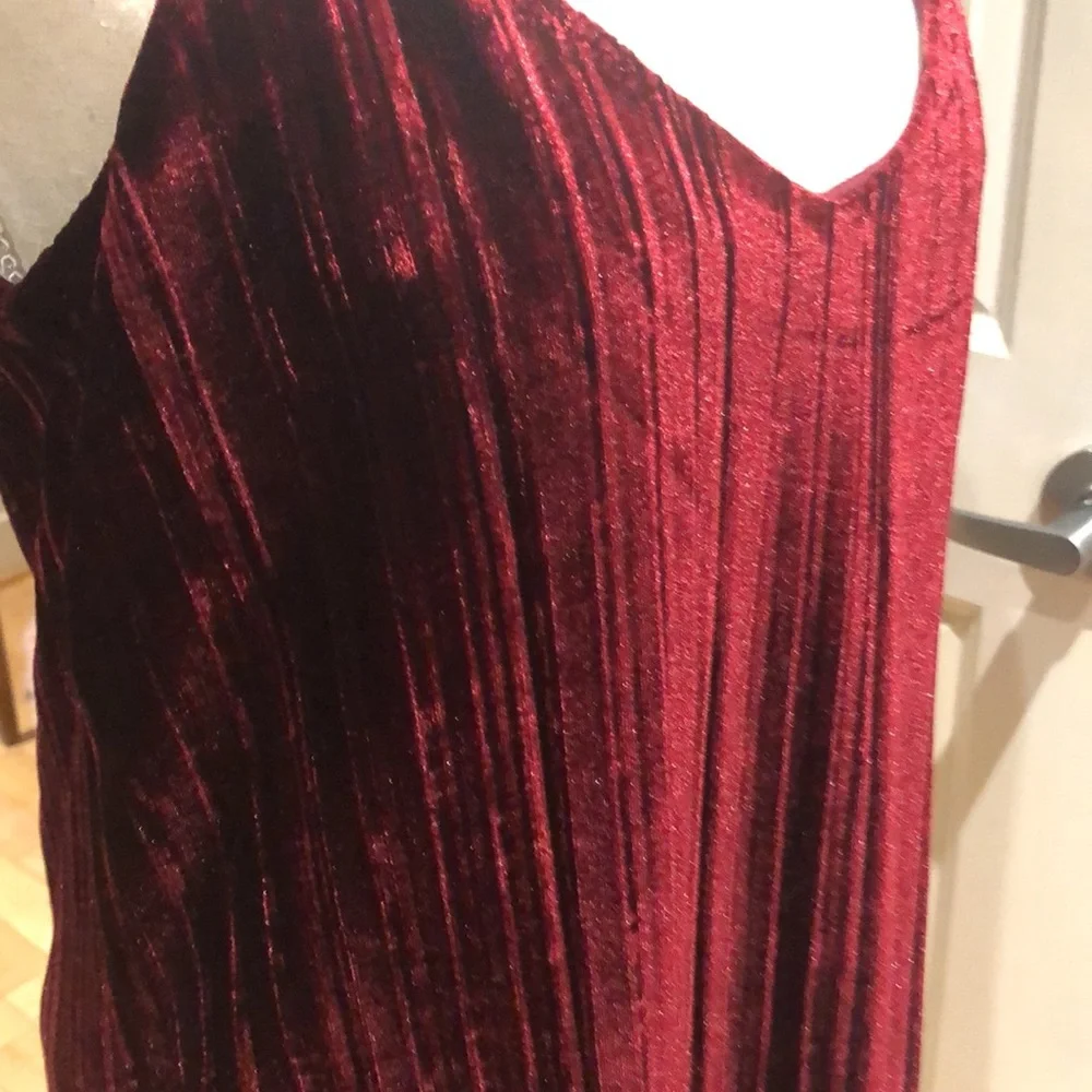 🇺🇸 Tart Burgundy Velvet Dress - Small - Picture 4 of 12
